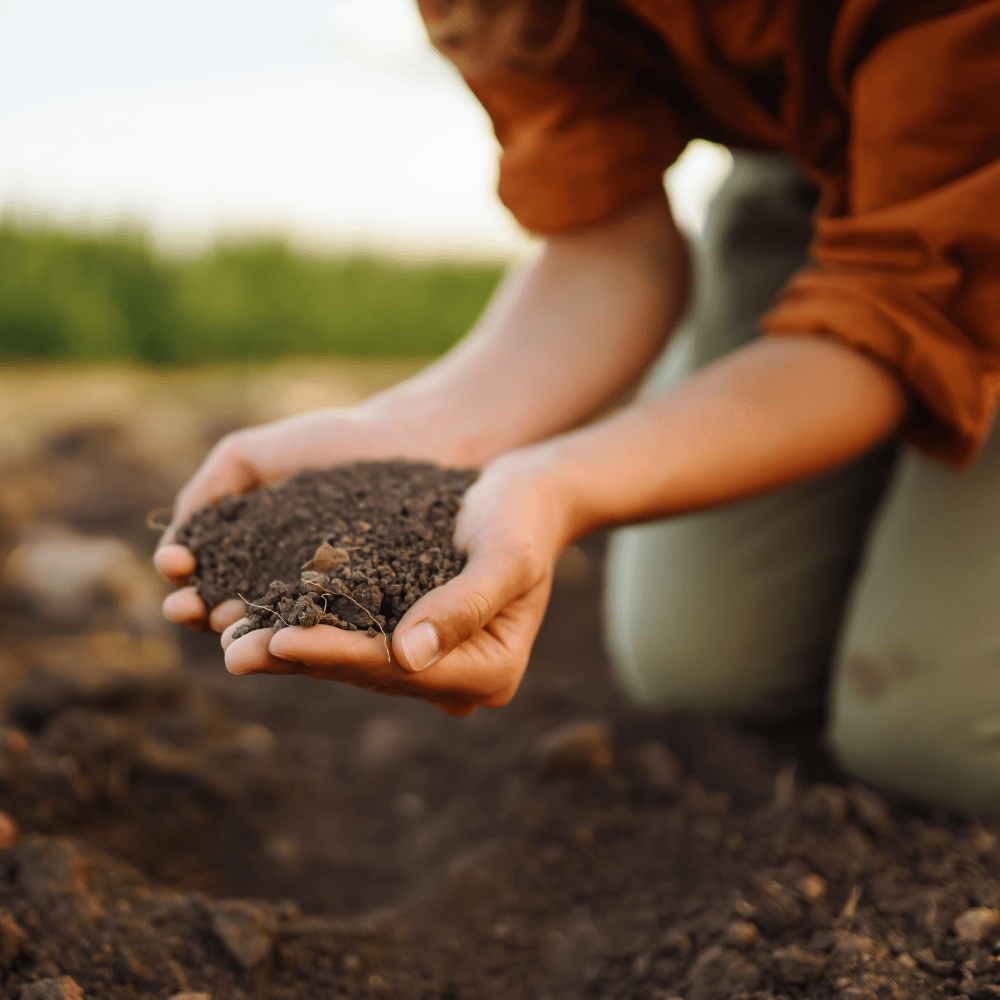 eco therapist someone digging in soil while working with an eco therapist