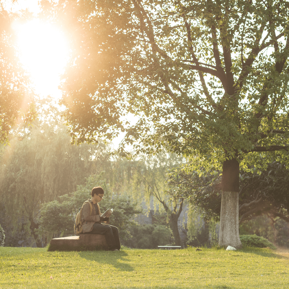 person reading under willow tree