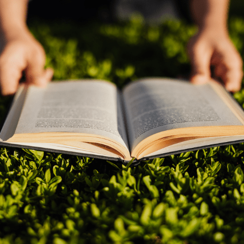 reading a book in grass