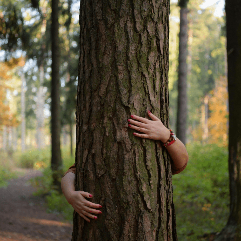 person hugging tree