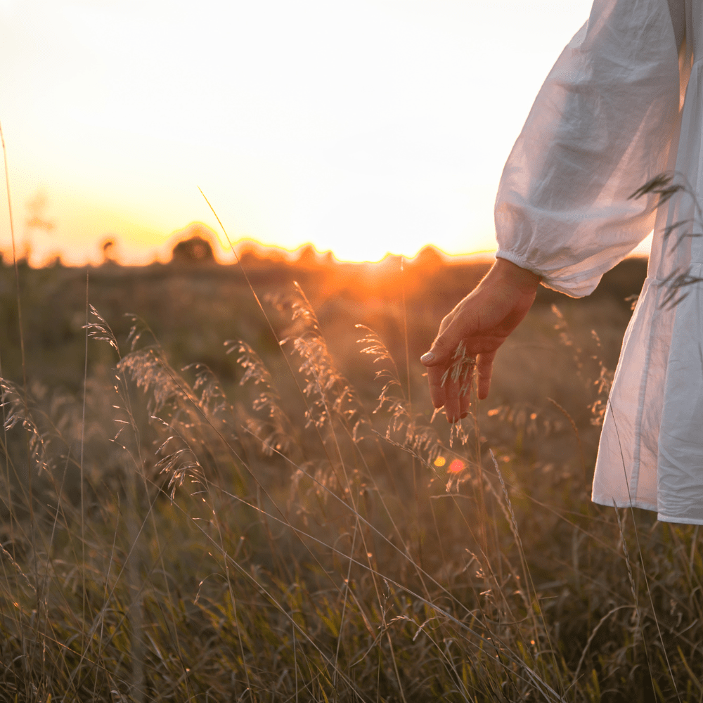 person in field at sunset