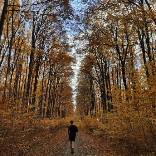 person going down wooded path on a run