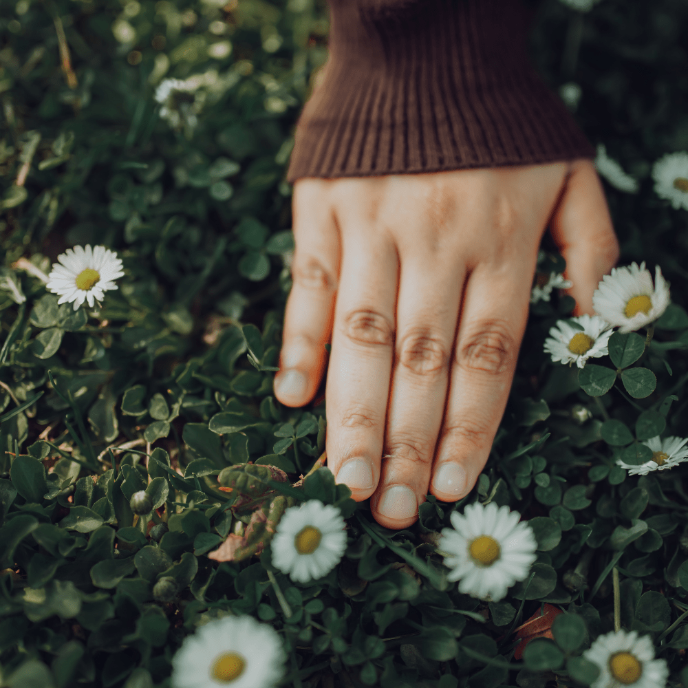 person touching wild flowers