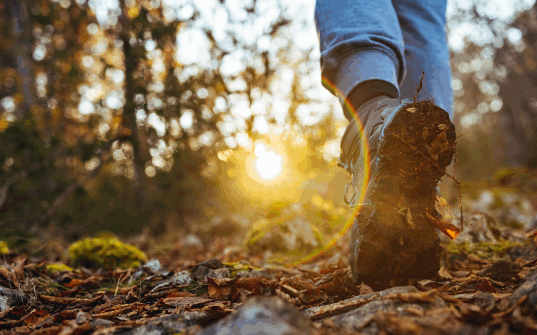 Healing Through Connection: Indigenous Healing Practices and Holistic Wellness