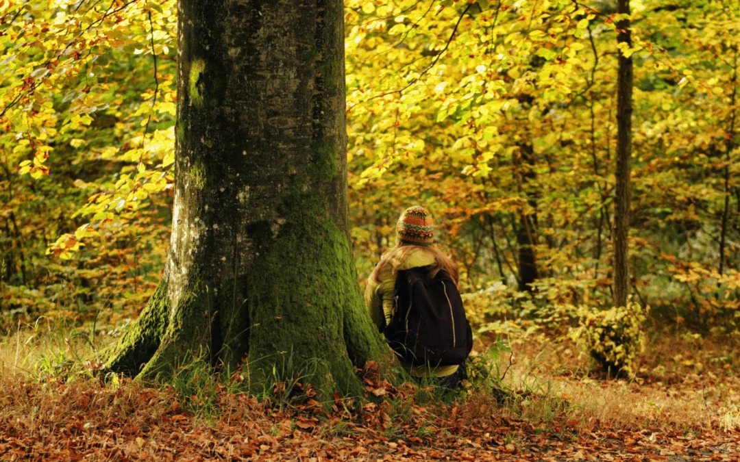 Person sitting at the base of the tree with falling leafs
