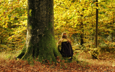What Is Integrative Therapy? A Whole-Person Approach to Healing
