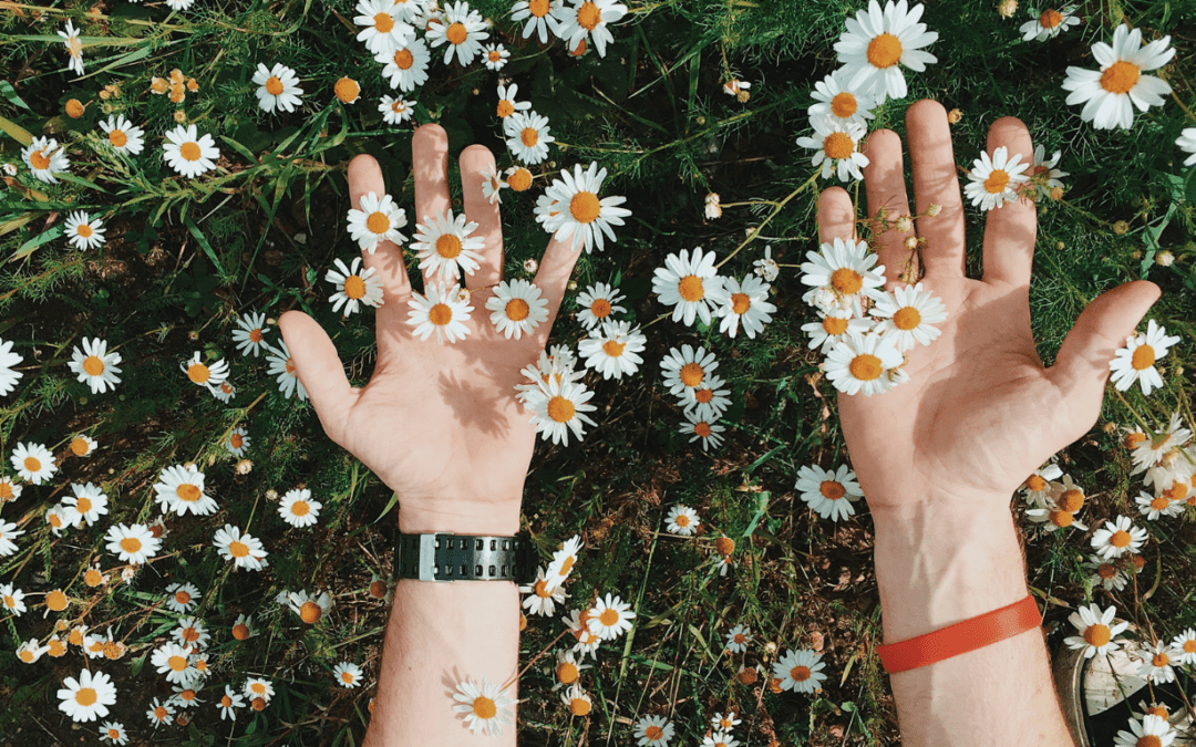 Collective Trauma: How to Stay Regulated in the Face of Chaos