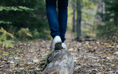 Nervous System Regulation 101: What It Is and Why It Matters for Mental Health