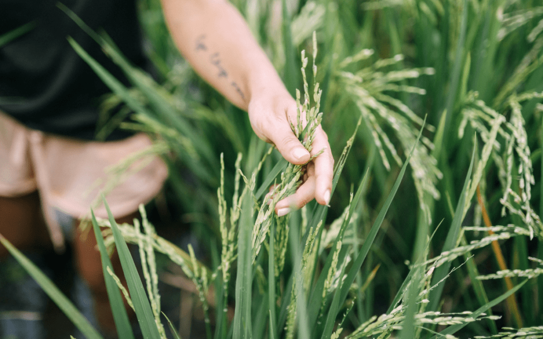 What Is Post-Traumatic Growth? Healing Beyond the Pain