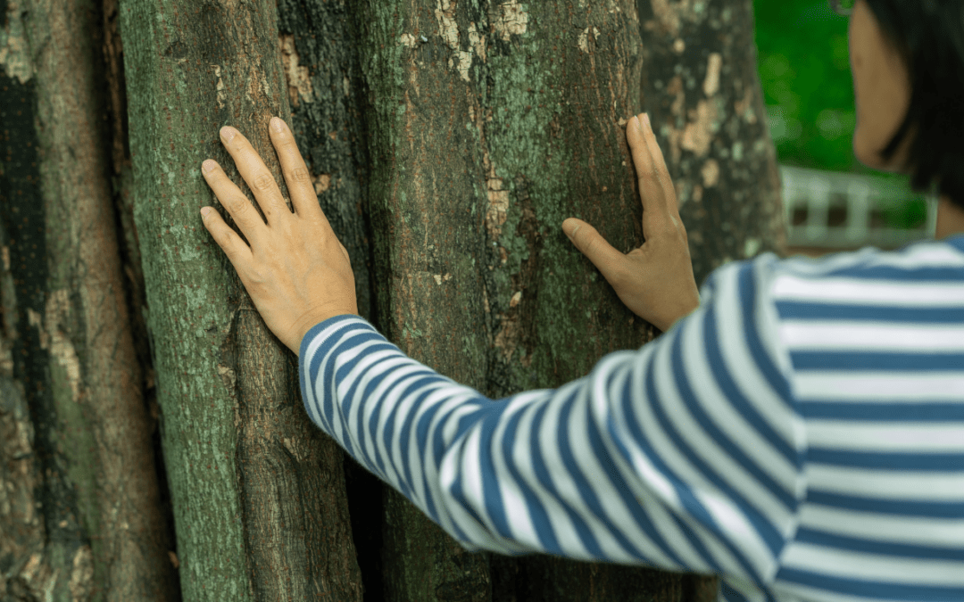 woman touching tree