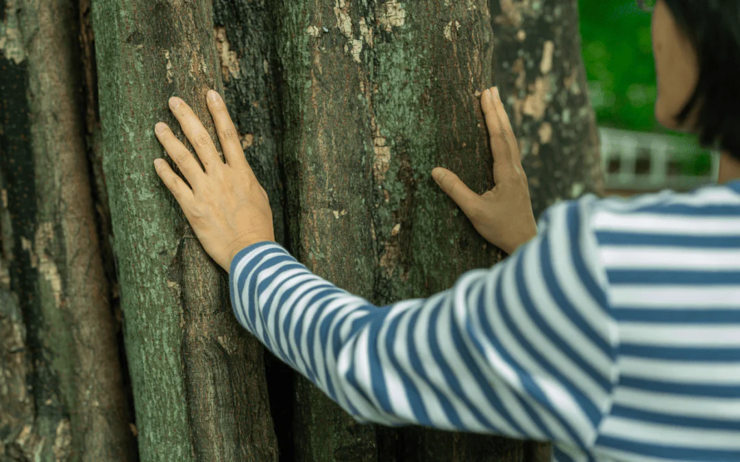 Building Boundaries: How Fear of Abandonment Shapes Your Relationships