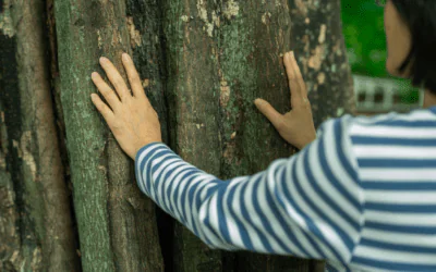 Building Boundaries: How Fear of Abandonment Shapes Your Relationships