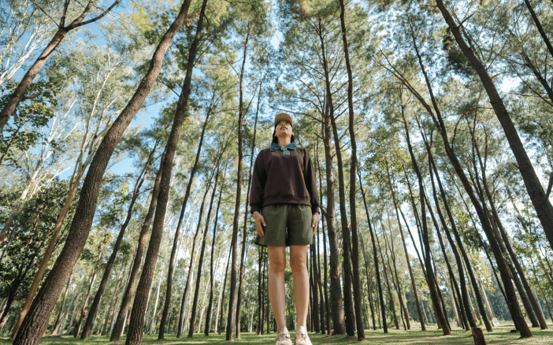 person standing with trees